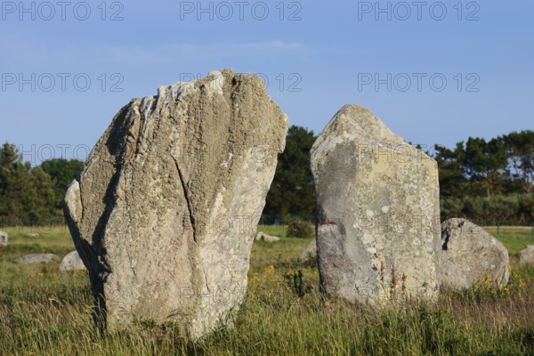 Megalithe, Alignements de Kermario, Carnac, Department of Morbihan, Brittany, France