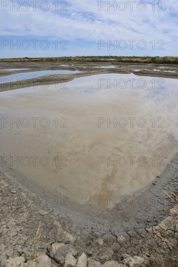 Seawater salt pans, Guerande, Loire-Atlantique, Pays de la Loire, Brittany, France