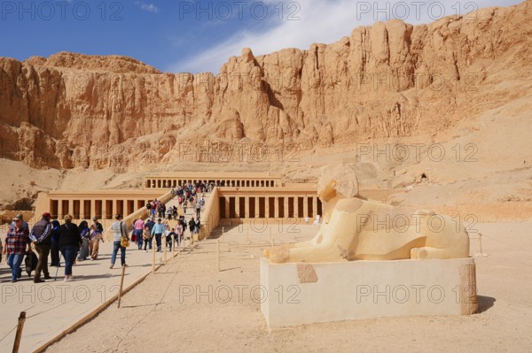 Sphinx and Hatshepsut Temple, Mortuary Temple of Hatshepsut, Deir el-Bahari, Thebes, Luxor, Egypt