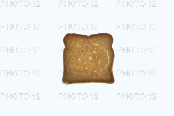Rusk on a white background