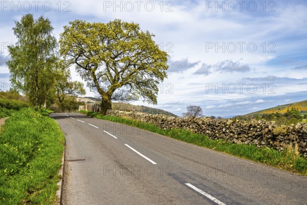 Farms, Ullswater Lake, Lake District National Park, Cumbria, England, United Kingdom