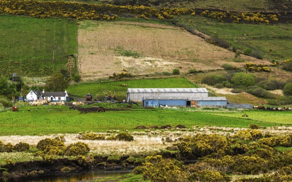 Farms over Loch Harport, Drynoch, Isle of Skye, Scotland, UK