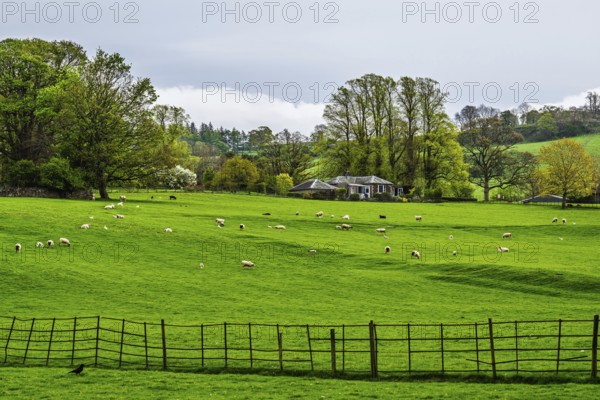 Farms, Pooley Bridge, Ullswater Lake, Lake District National Park, Cumbria, England, United Kingdom