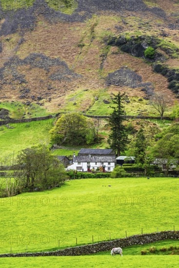 Farms in Lake District National Park, Cumbria, England, United Kingdom