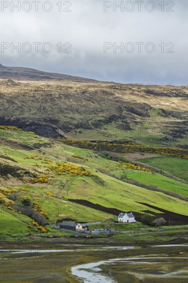 Farms over Loch Harport, Drynoch, Isle of Skye, Scotland, UK