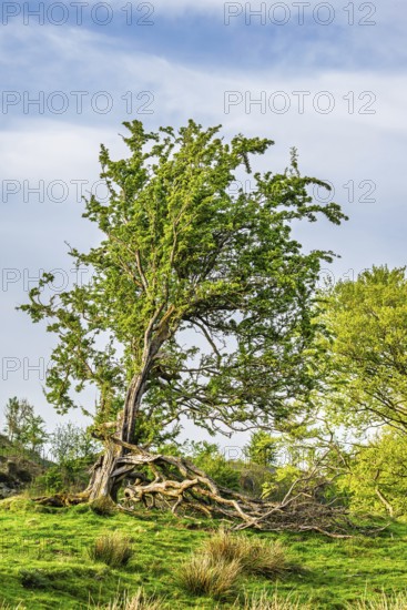 Mountains in Lake District National Park over Coniston Water, Cumbria, England, United Kingdom
