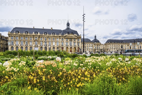 Place de la Bourse, Bordeaux, Gironde, Nouvelle-Aquitaine, France