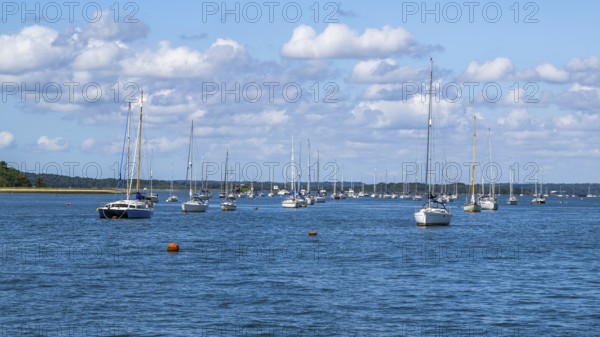 Boats over Brownsea Island, Poole, Dorset, England, United Kingdom