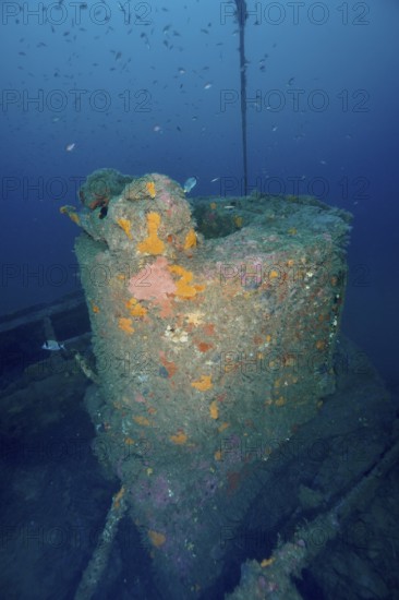 Rotten structure of a shipwreck overgrown with marine organisms. Dive site wreck Ville de Grasse, Giens peninsula, Mediterranean Sea, Provence Alpes Côte d'Azur, France
