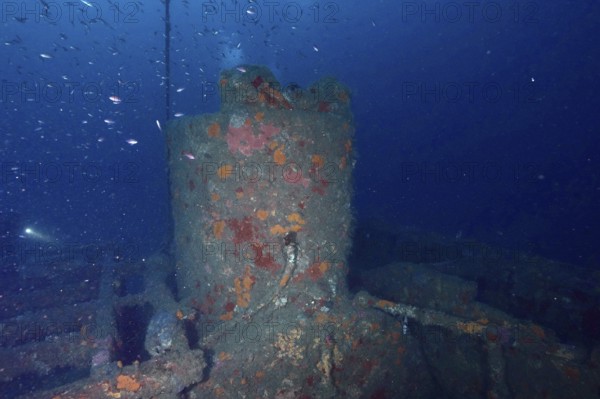 Corridor tower of a shipwreck surrounded by fish. Dive site wreck Ville de Grasse, Giens peninsula, Mediterranean Sea, Provence Alpes Côte d'Azur, France