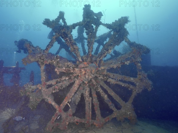 Old paddle wheel of a shipwreck, overgrown on the seabed. Dive site wreck Ville de Grasse, Giens peninsula, Mediterranean Sea, Provence Alpes Côte d'Azur, France