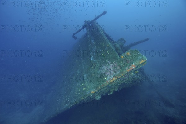 A shipwreck rests peacefully on the seabed, overgrown with green algae. Dive site Wreck Michel C, Giens Peninsula, Mediterranean Sea, Provence Alpes Côte d'Azur, France