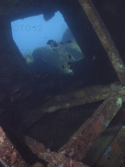 View of the underwater landscape with rocks through the window of a shipwreck. Dive site wreck of the Cimentière, Giens peninsula, Mediterranean Sea, Provence Alpes Côte d'Azur, France