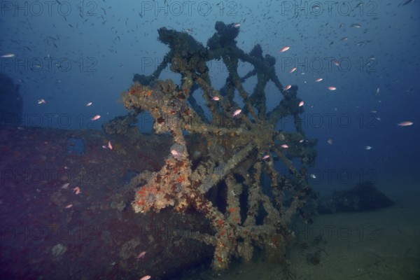 Underwater image of a decayed paddle wheel of a shipwreck, surrounded by fish. Dive site wreck Ville de Grasse, Giens peninsula, Mediterranean Sea, Provence Alpes Côte d'Azur, France