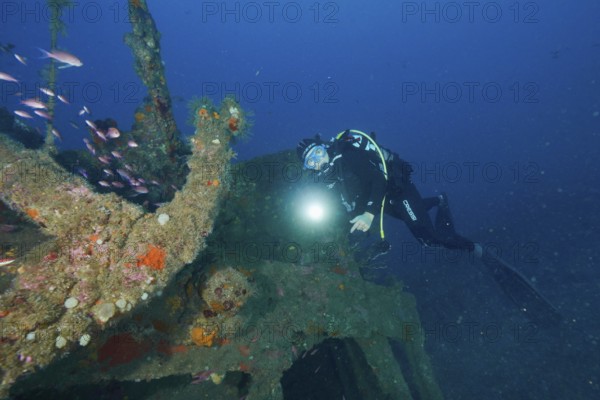 Diver exploring a colourful shipwreck with a torch in her hand. Dive site wreck Michel C, Giens peninsula, Mediterranean Sea, Provence Alpes Côte d'Azur, France