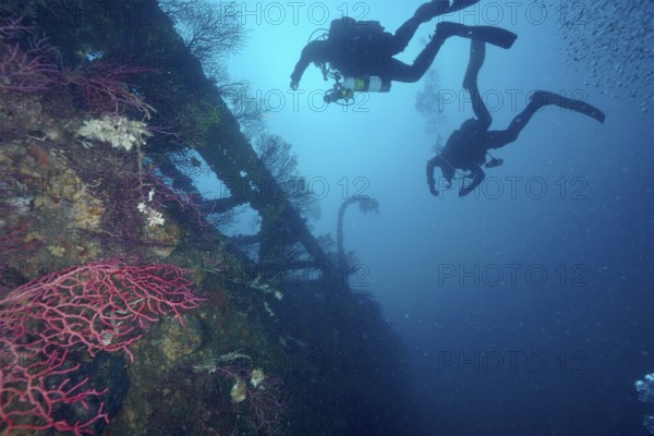 Two divers explore an overgrown shipwreck in deep blue water. Dive site wreck Le Donator, Giens peninsula, Mediterranean Sea, Provence Alpes Côte d'Azur, France
