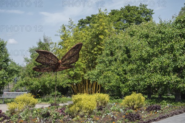 Butterfly figure made of wickerwork, district educational garden, Burgsteinfurt, Münsterland, North Rhine-Westphalia, Germany