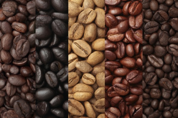 Collage of coffee beans grown in responsible and organic way, AI generated