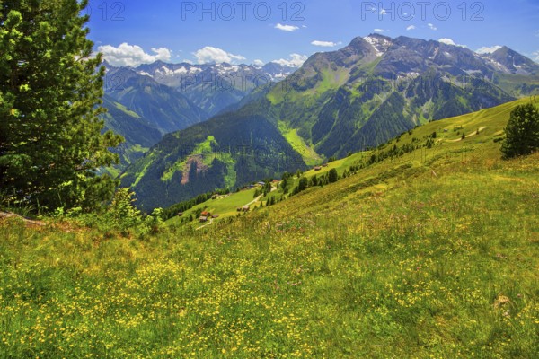 Mountain landscape in the Penken hiking area, Mayrhofen, Zillertal, Zillertal Alps, Tyrol, Austria