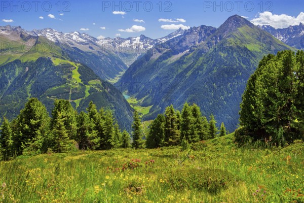Mountain landscape in the Penken hiking area with views of the Stilluptal valley, Mayrhofen, Zillertal, Zillertal Alps, Tyrol, Austria