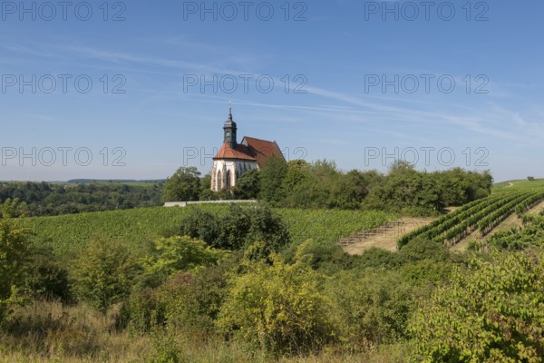 Pilgrimage church Maria im Weingarten, on a hill surrounded by vineyards and trees under a blue sky, near Volkach am Main, Lower Franconia, Mainfranken, Bavaria, Germany