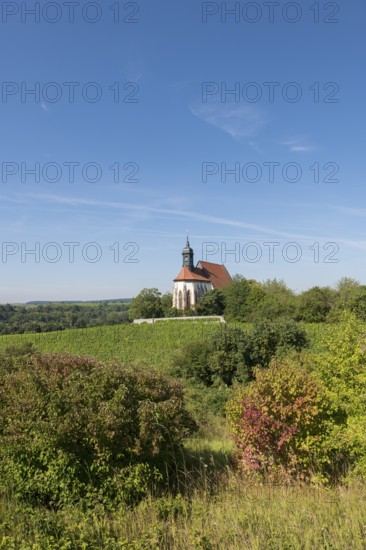 Picturesque view of the pilgrimage church Maria im Weingarten, on a hill, surrounded by lush vineyards and open nature under a clear sky, near Volkach am Main, Lower Franconia, Mainfranken, Bavaria, Germany