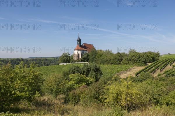 Rural landscape with the pilgrimage church Maria im Weingarten, on a hill, surrounded by extensive vineyards and green nature, near Volkach am Main, Lower Franconia, Mainfranken, Bavaria, Germany