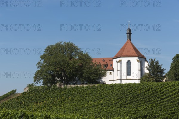Monastery church Mariä Schutz an der Vogelsburg, vineyards, near Volkach, Mainfranken, Mainschleife, Franconia, Lower Franconia, Bavaria, Germany