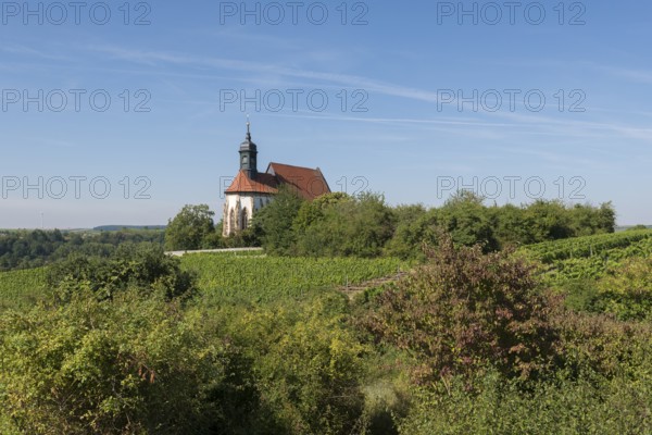 Pilgrimage church Maria im Weingarten, in a landscape of vineyards and trees under a clear blue sky, near Volkach am Main, Lower Franconia, Mainfranken, Bavaria, Germany