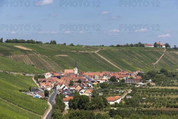 Escherndorf surrounded by hills and vineyards with a church and red roofs under a blue sky, near Volkach am Main, Lower Franconia, Mainfranken, Bavaria, Germany