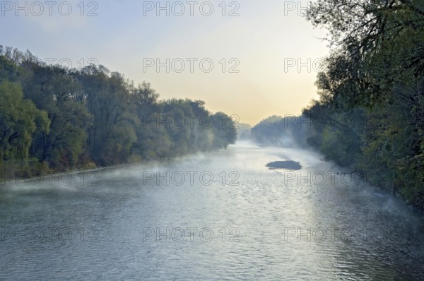 River Isar in the morning fog shortly in front of sunrise, twilight, blue hour, nature reserve Isarauen near Marzling, Freising, Upper Bavaria, Bavaria, Germany