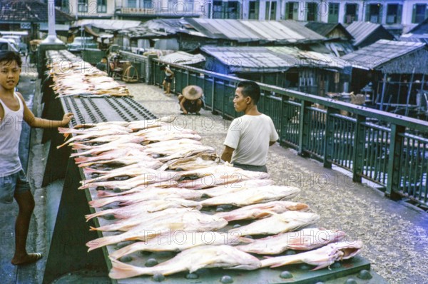 Fish laid out on sale at side of a road bridge, Singapore, southeast Asia c 1963