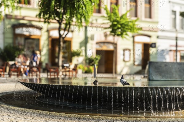 Mark Aurel fountain and fountain on Peace Square, Capital of Culture 2026, Trencín, Slovakia