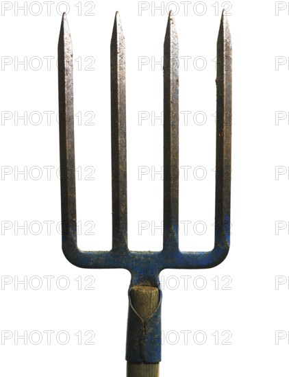 A metal fork with four sharp prongs stands upright against a plain white background. The wooden handle is aged and shows signs of wear, highlighting its use in agricultural tasks
