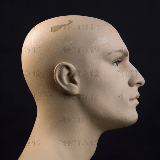 This head dummy features a lifelike profile view of a male figure. The surface displays minor imperfections, adding realism to the design