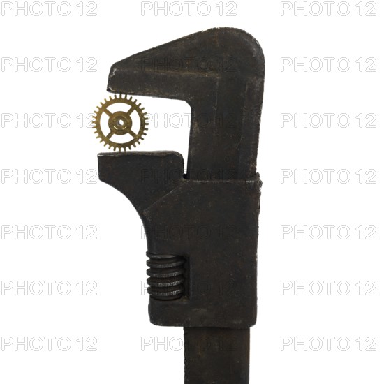 A rusty spanner holds a delicate watch cog in its jaws, showcasing a unique contrast between rugged metal and intricate craftsmanship