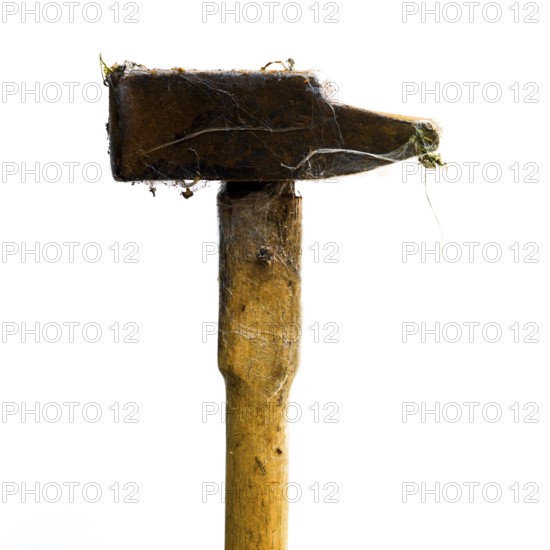 A broken record lies alone on a white surface, covered in spider webs, symbolizing years of neglect and decay. This detail emphasizes the passage of time and forgotten memories