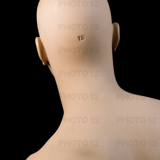 This exhibit features the head of a man dummy showcasing a clear numbered marking on the back. It is presented with a neutral expression, emphasizing its realistic details and craftsmanship