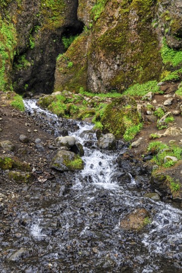 Entrance to the mystical lava cave, Sönghellir lava tube, Cave of Songs, watercourse, Arnarstapi, Snaefellsjökull National Park, Snaefellsnes Peninsula, West Iceland, Iceland