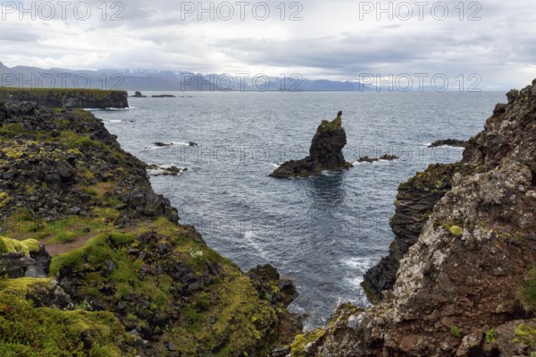 Bizarre rocky coast with rock needle, south coast, Arnarstapi, Faxafloi, Snæfellsnes peninsula, Snaefellsnes, West Iceland, Iceland