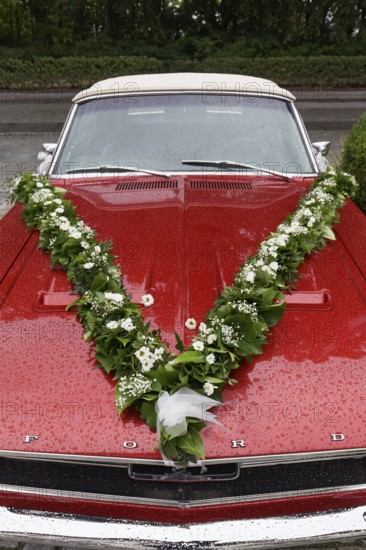 1965 Ford Mustang Cabriolet, decorated as a wedding car, Kühlungsborn, Baltic Sea, Mecklenburg-Vorpommern, Germany