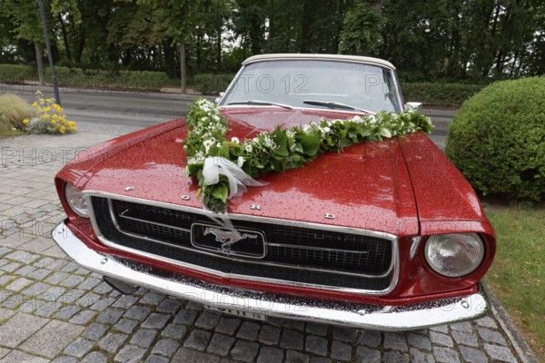 1965 Ford Mustang Cabriolet, decorated as a wedding car, Kühlungsborn, Baltic Sea, Mecklenburg-Vorpommern, Germany