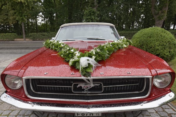 Ford Mustang Cabriolet from 1965, decorated as a wedding car, Baltic resort Kühlungsborn, Baltic Sea, Mecklenburg-Vorpommern, Germany