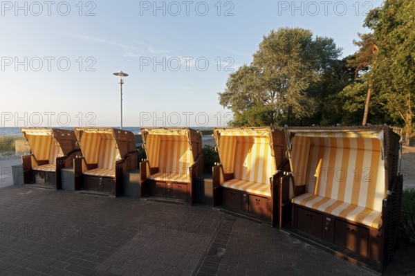 Five beach chairs in the evening light, seats of a beard on the beach promenade, Kühlungsborn, Baltic Sea, Mecklenburg-Western Pomerania, Germany