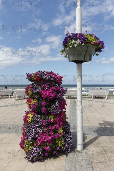Lush floral decoration on the beach promenade, Baltic resort Kühlungsborn, Baltic Sea, Mecklenburg-Vorpommern, Germany
