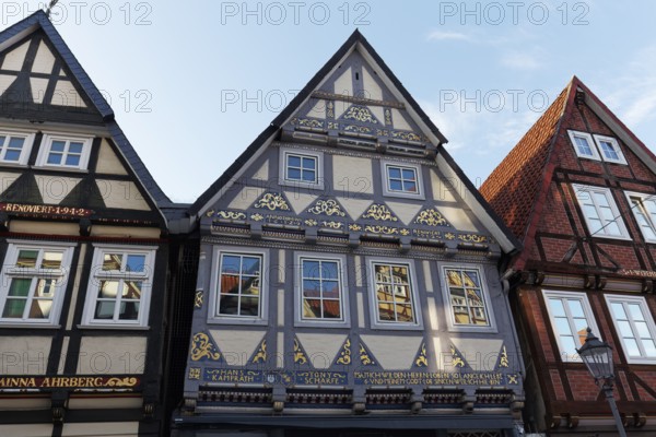 Half-timbered houses from the 17th century, façade with ornaments and historical inscriptions, Celle Old Town, Celle, Lower Saxony, Germany