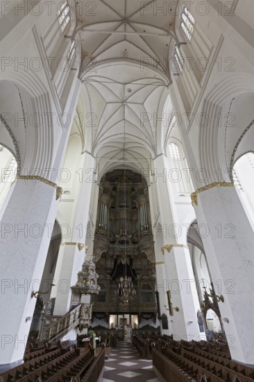 St Mary's Church, Gothic nave with organ, Rostock, Mecklenburg-Western Pomerania, Germany