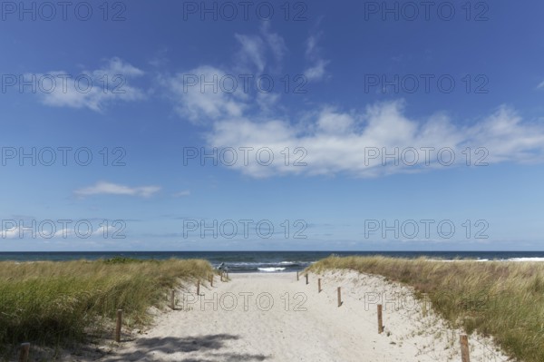 Beach access through dunes, sandy path, blue sky, Kühlungsborn, Baltic Sea, Mecklenburg-Western Pomerania, Germany