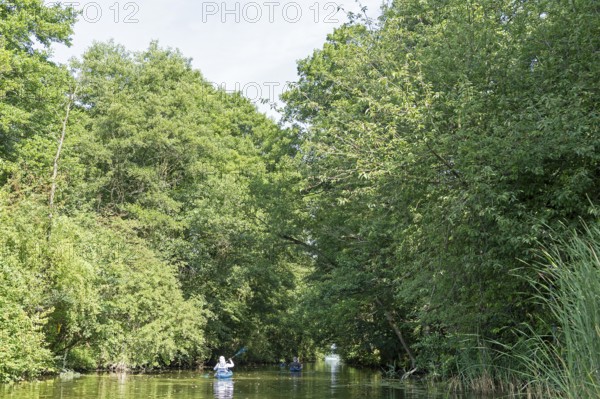 Canal between Leppinsee and Woterfitzsee, canoes, trees, Müritz National Park, Mecklenburg Lake District, Mecklenburg-Western Pomerania, Germany