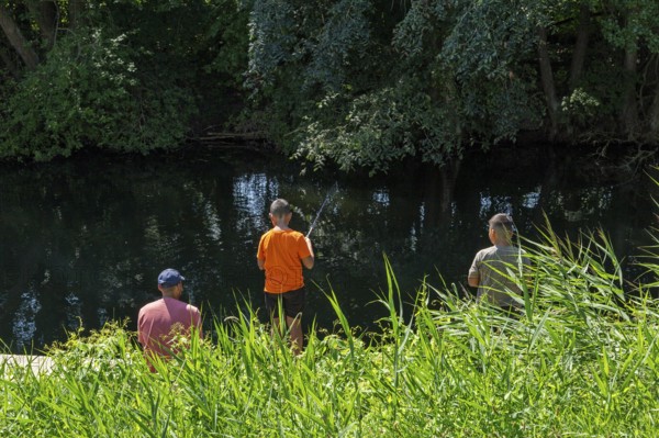 Father and sons fishing, Alte Fahrt canal, Bolter lock, Mecklenburg Lake District, Mecklenburg-Western Pomerania, Germany